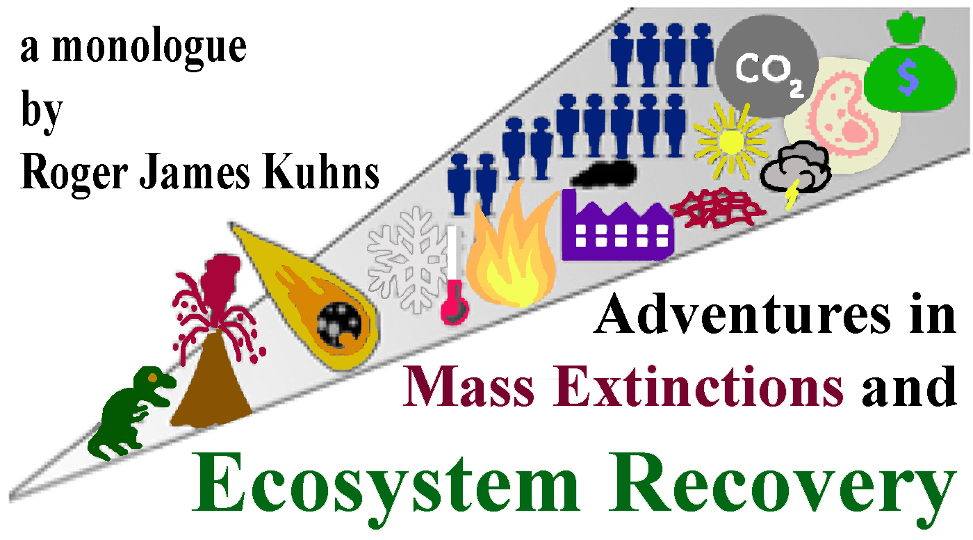 A diagram of the ecosystem with text underneath