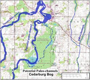 A map of the potential paleochannels in cedarburg bog.
